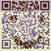 the qr code